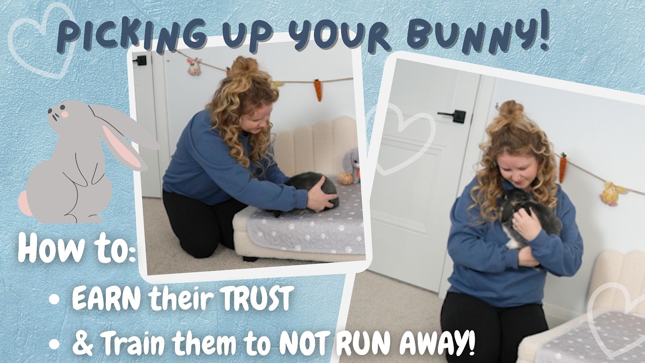 How I Trained My Bunny to Be Calm When Picked Up | Building Trust with Your Bunny FIRST!