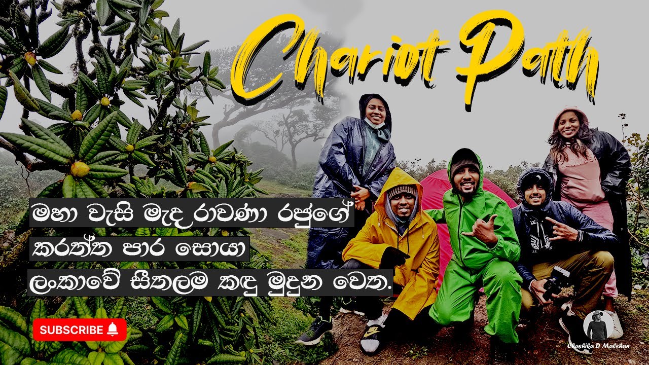 Chariot path | මහා වැසි මැද රාවණා රජුගේ කරත්ත පාර සොයා ලංකාවේ සීතලම කඳු මුදුන වෙත.