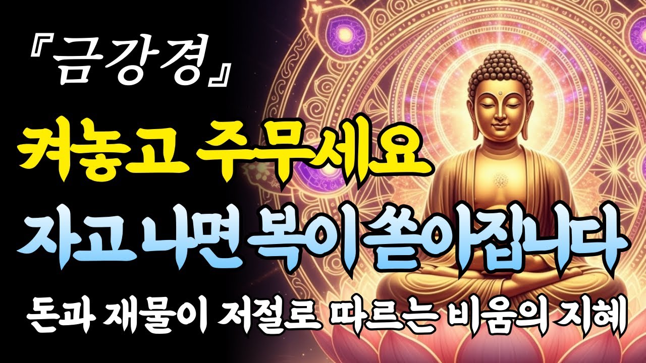금강경 켜두기만 하고 편안히 잠드세요. 비울수록 가득 차오르는 재물과 복덕의 비밀ㅣ부처님 말씀ㅣ수면 명상