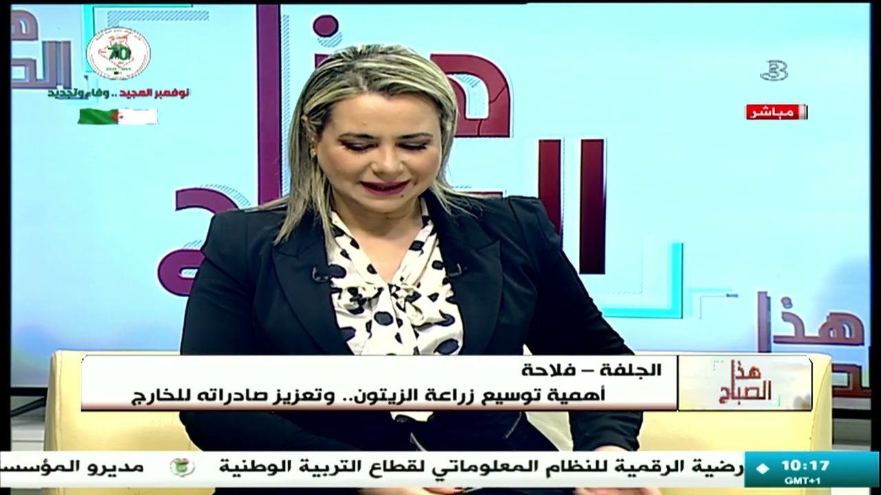 الجلفة: أهمية توسيع زراعة الزيتون وتحقيق جودة المنتوج