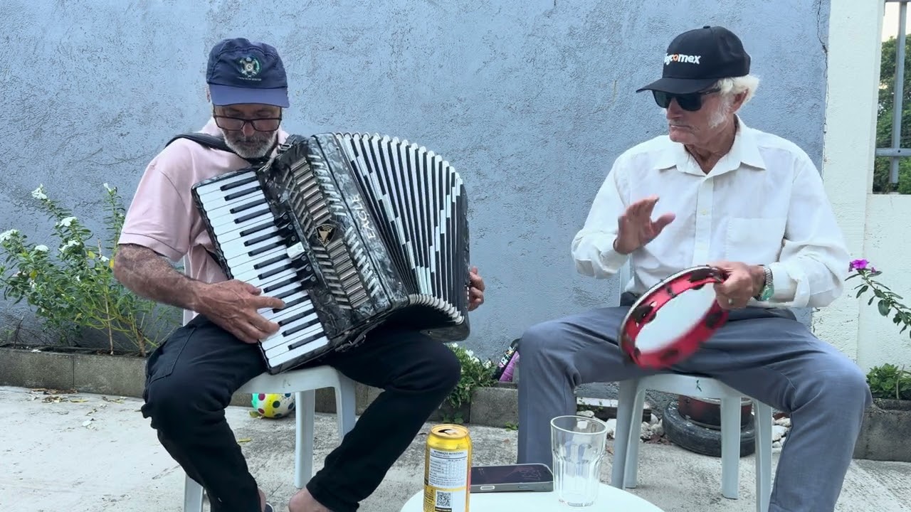 Remix  sertanejo ( pulei na piscina uma noite sem você)