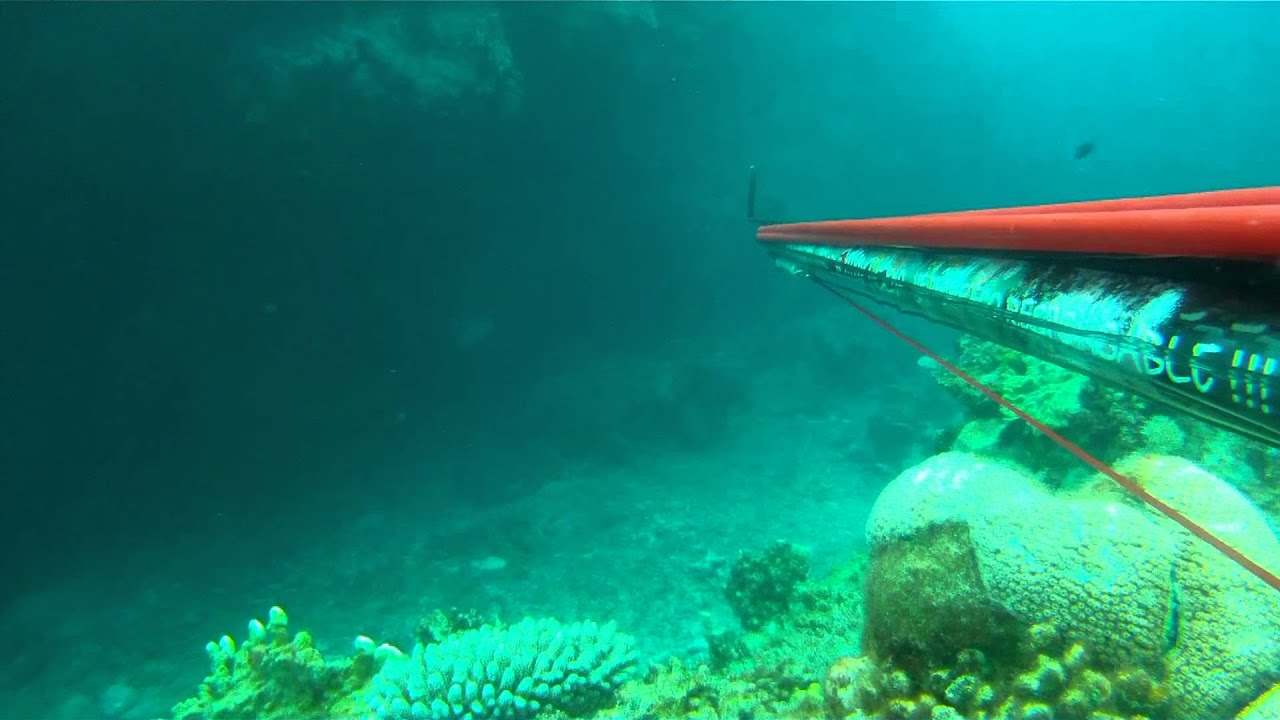 Chasse sous marine à Ouvéa part1