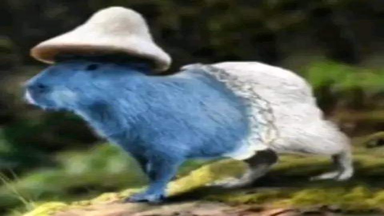 33 minutos de puro chaqueteadas bien maquiavélicas *quemando el meme* Shitposting Compilation 25 XD