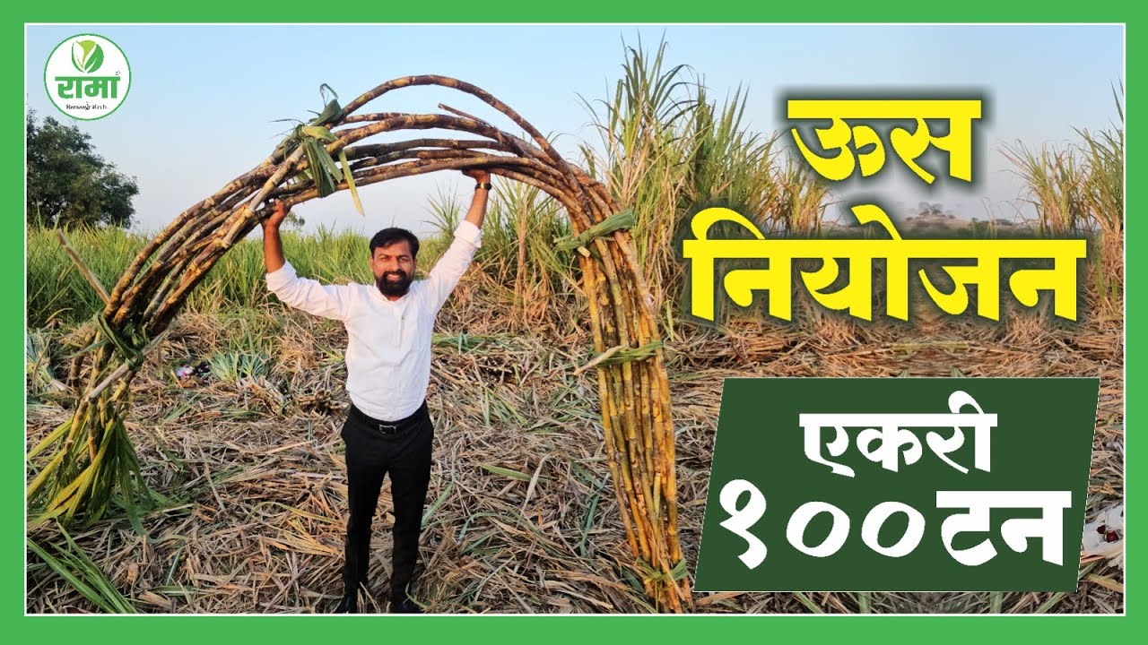ऊस नियोजन एकरी  १०० टन | Rama Agrotech