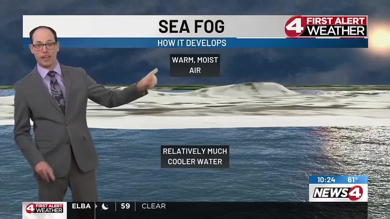 News4 First Alert Weather Extra: Sea Fog