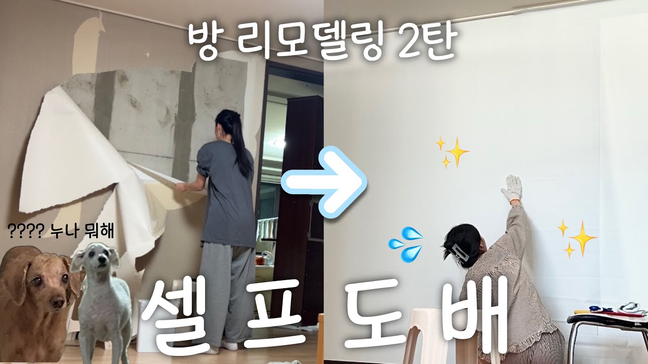 셀프 리모델링 2탄 | 셀프 도배 | 여자 혼자 풀바른 실크벽지 시공할 수 있을까?