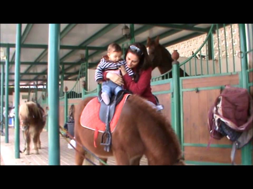 mascotario de Granada