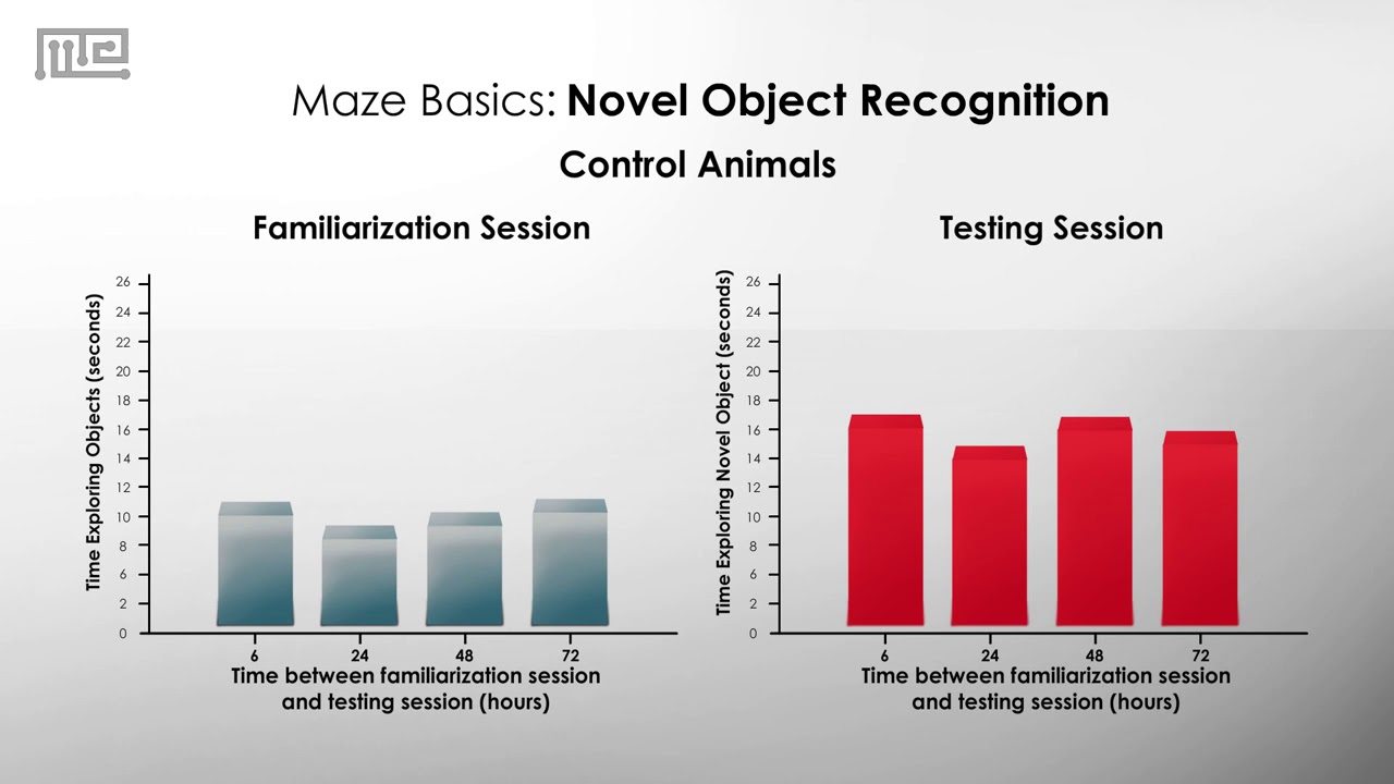 Novel Object Recognition Test