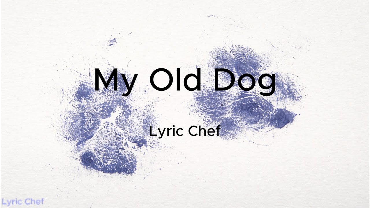 My Old Dog