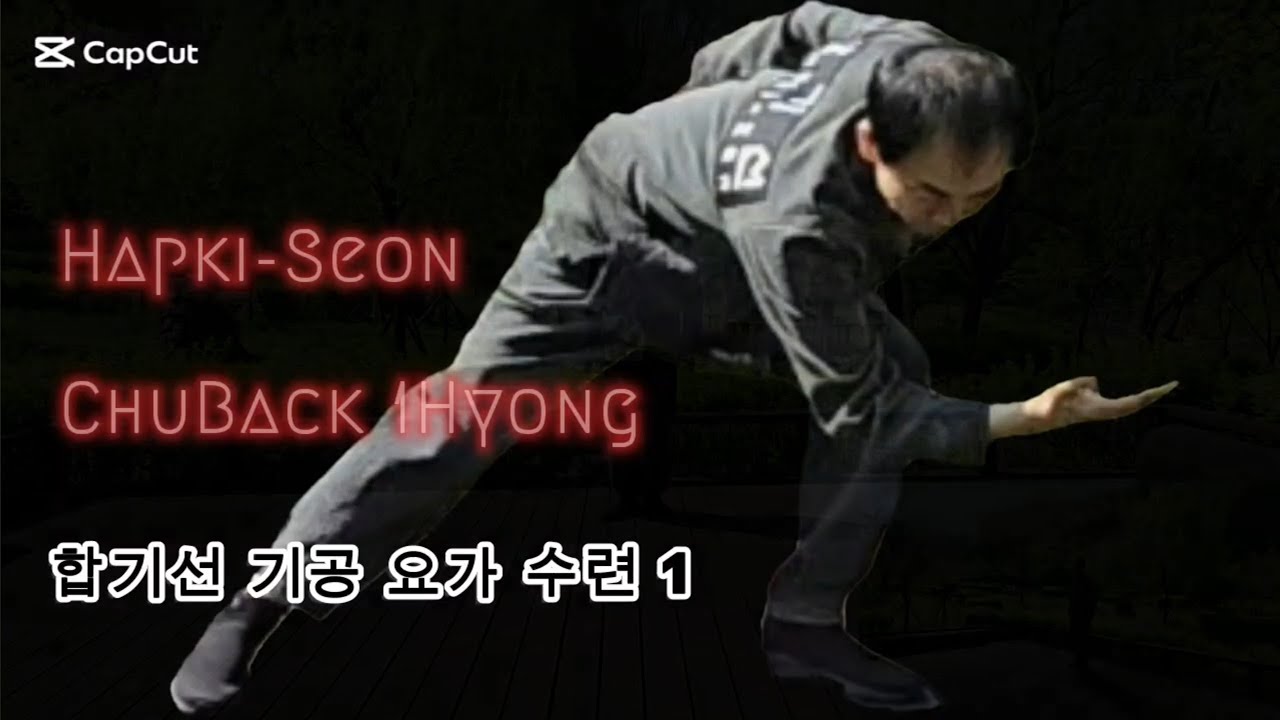 Hapkidoist learn to Hapki-Seon ChuBack Poomse 1