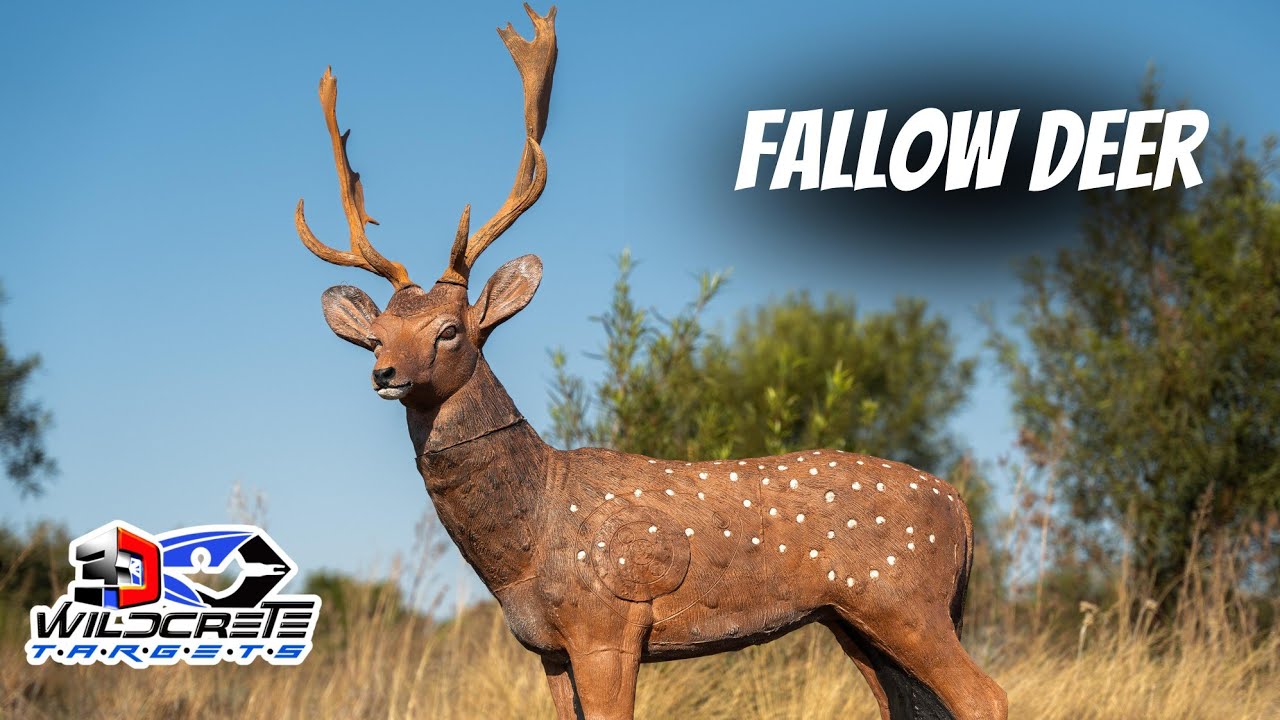Fallow Deer - 3D Archery Target