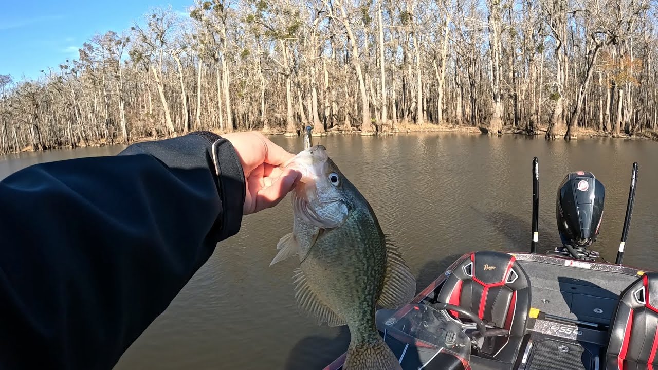 @RiverBassTv  Chasing Trophy slab Crappie in North Carolina!