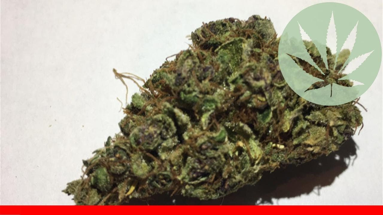 Purple Power - All About This Strain