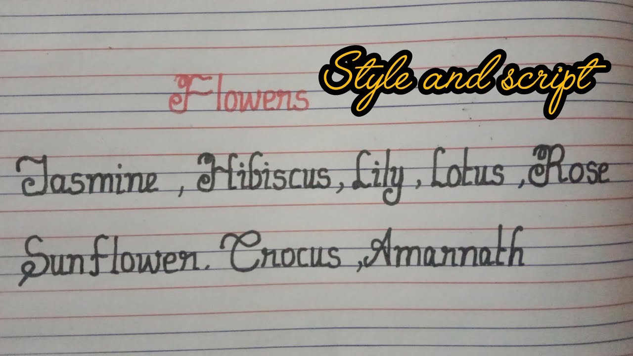 How to write style and script # Theju's class 