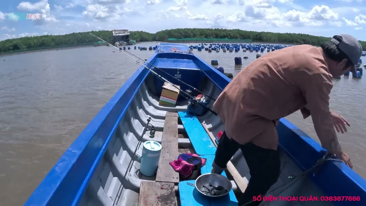 2 ANH EM ĐI CÂU  #quanvlog 74#quanvlog #fishing #becauca#câucá