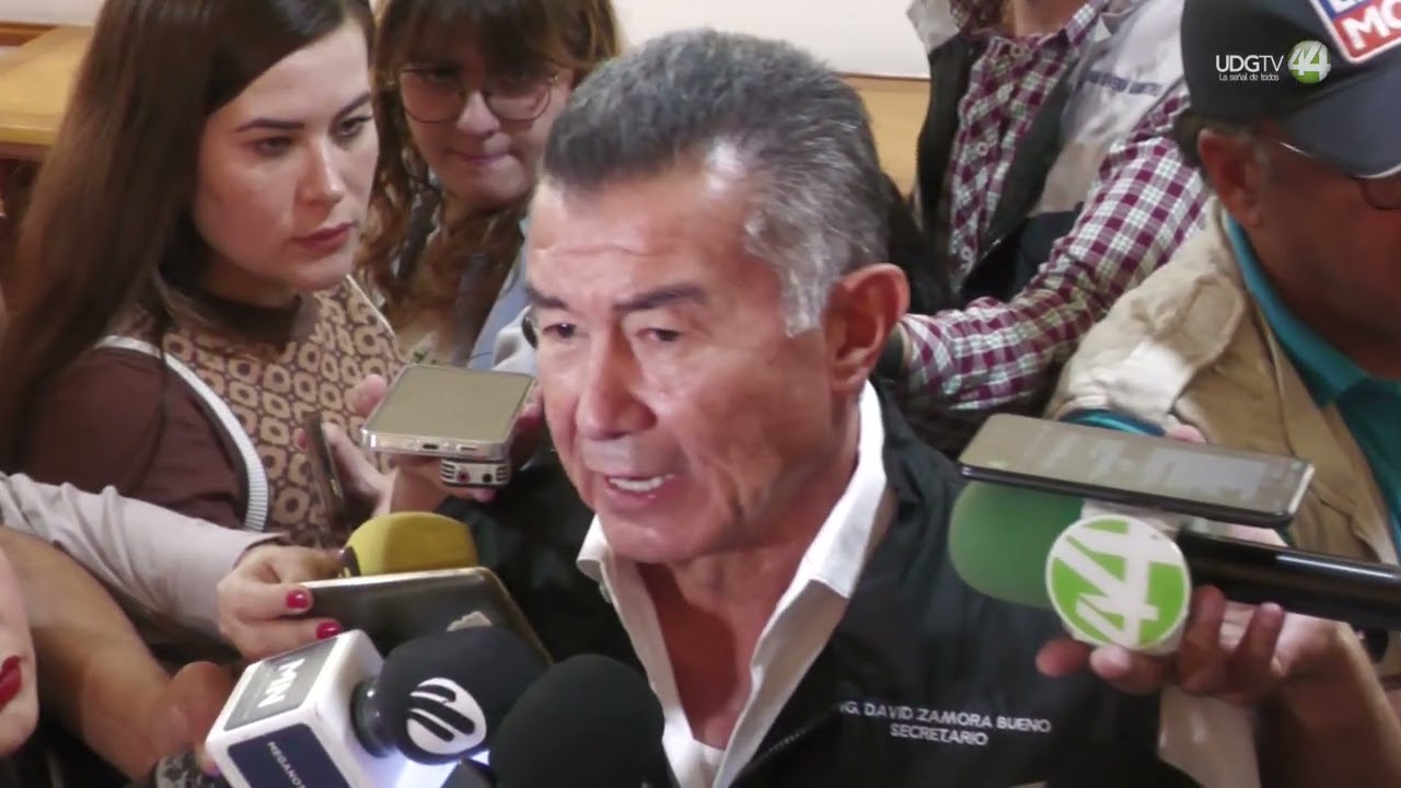 La Línea 5 acaba con el arbolado de la Carretera a Chapala