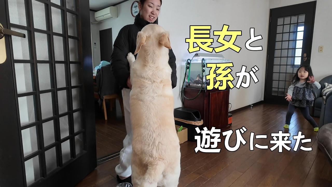 長女が孫を連れて動物園に行った帰りに遊びに来ています