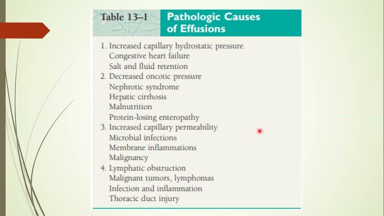 SEROUS FLUID