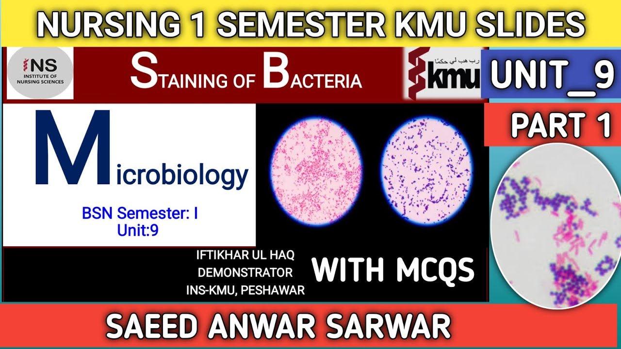 BS nursing microbiology unit9. staining of bacteria in microbiology. bs nursing microbiology part1