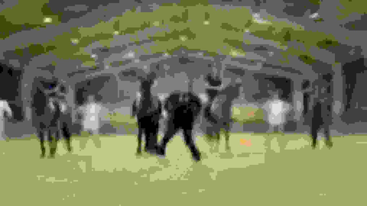 gangnam style low quality
