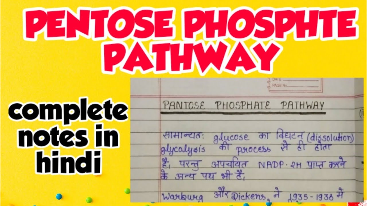 Pentose phosphte pathway (ppp) complete explanation in hindi