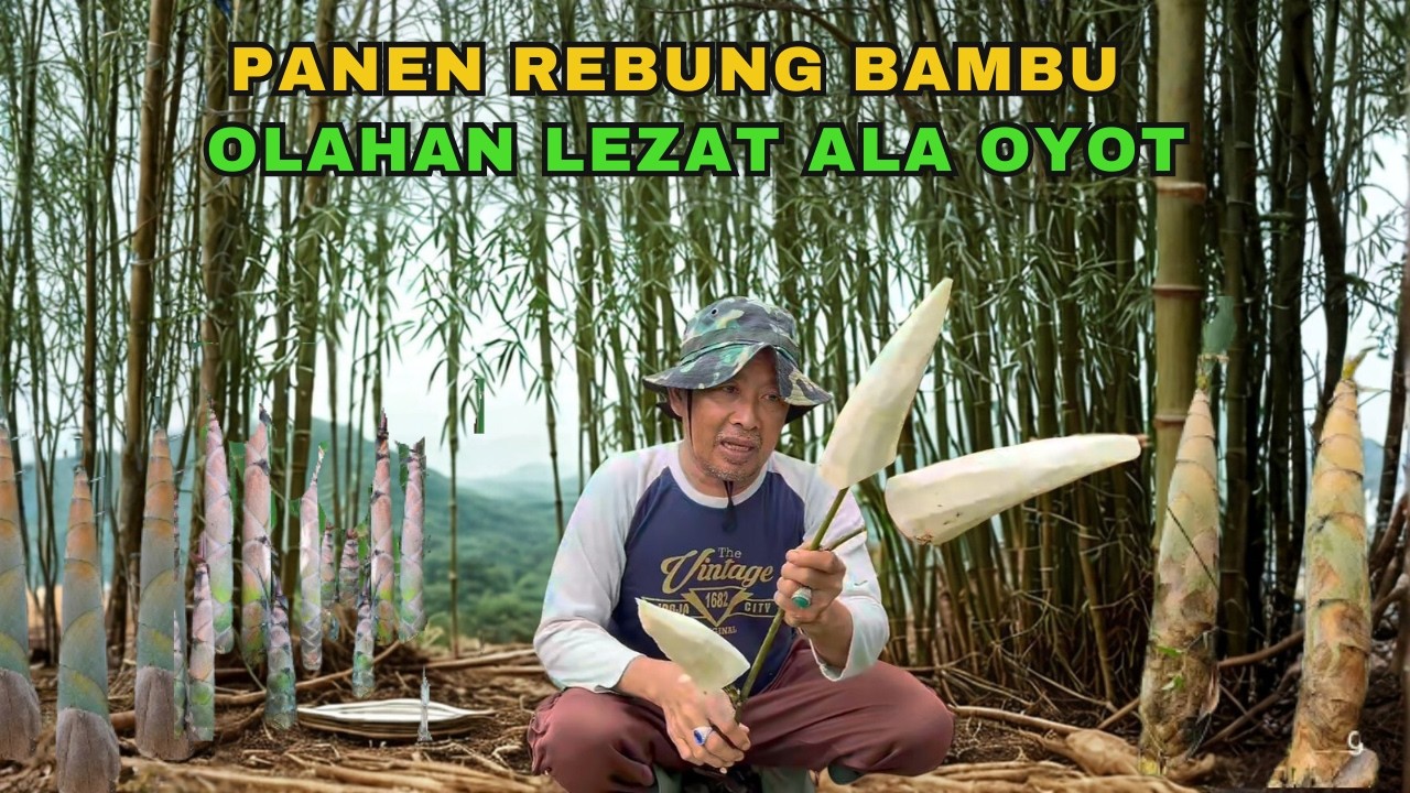Panen Rebung di Musim Hujan...Acar Rebung Lezat Ala Oyot (Harvesting Giant Bamboo Shoots)
