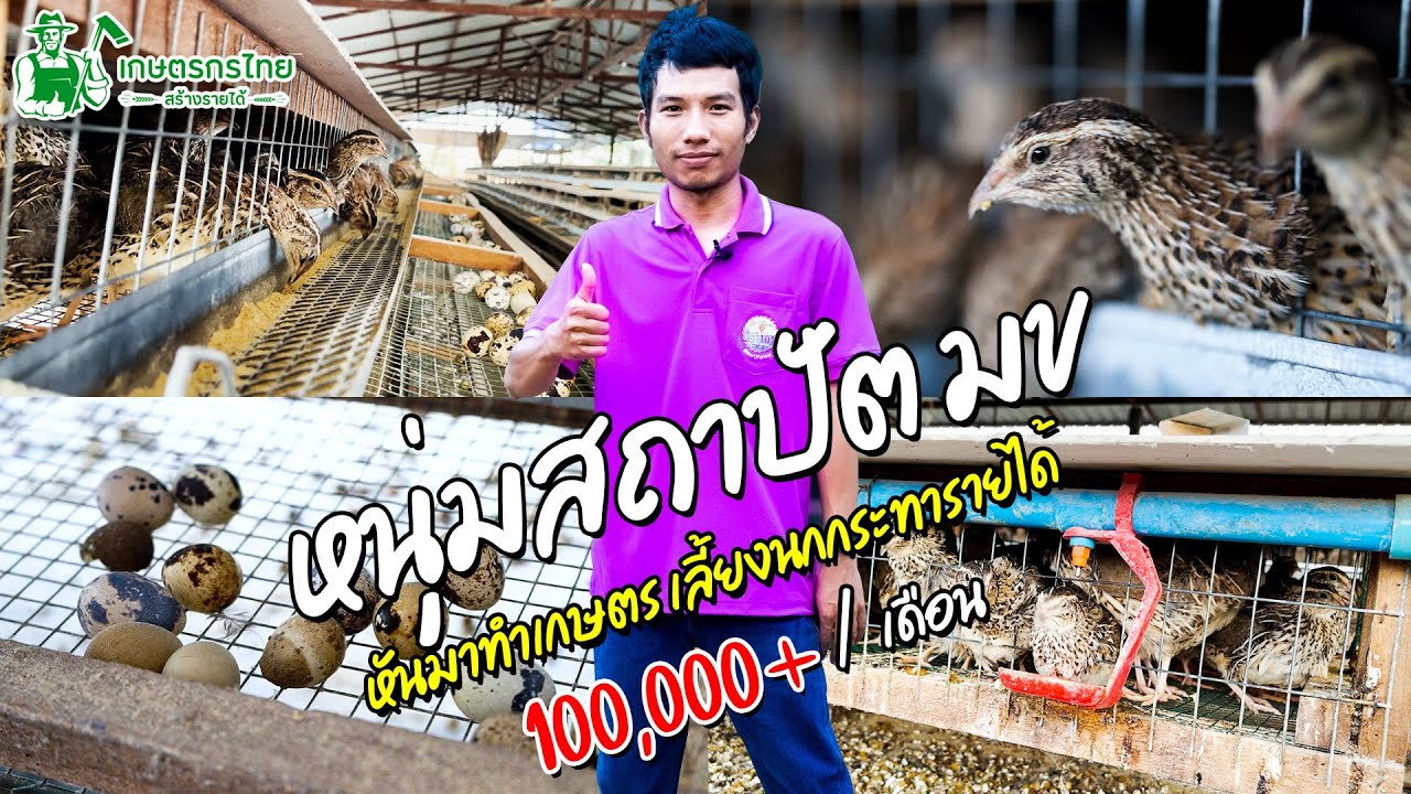 ชมสวนเกษตรกรไทย Ep29 ตอน หนุ่มสถาปัตย์ มข เลี้ยงนกกระทา สร้างรายได้ 100000 บาทต่อเดือน
