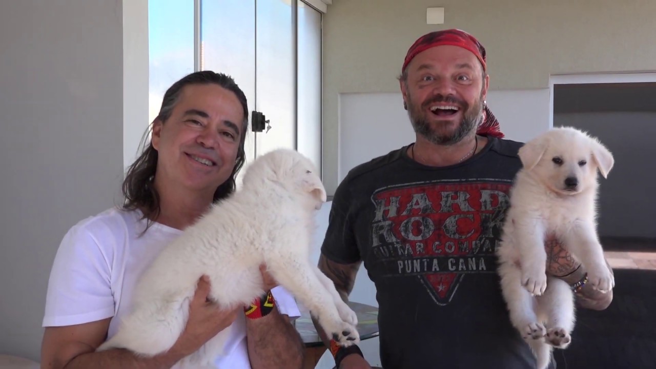PASTOR BRANCO SUIÇO, O CACHORRO DOS ALPES! | RICHARD RASMUSSEN