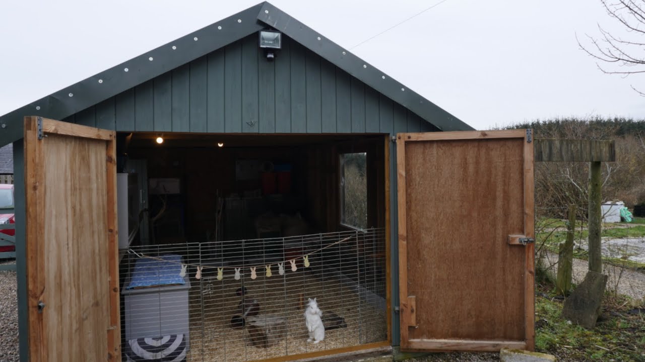 Rabbit Shed Tour 🐰| February 2020