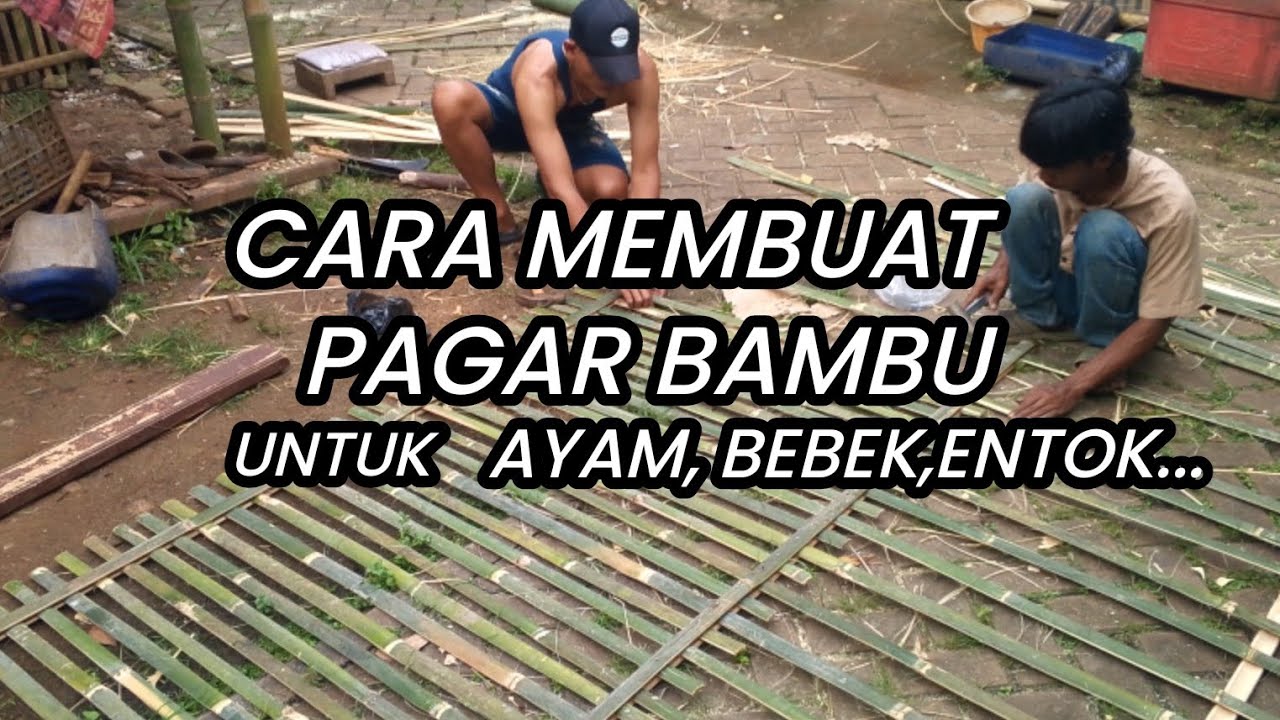 Cara membuat pagar Bambu @damar-new #pagarbambu #ayam #bebek #entok #unggas 