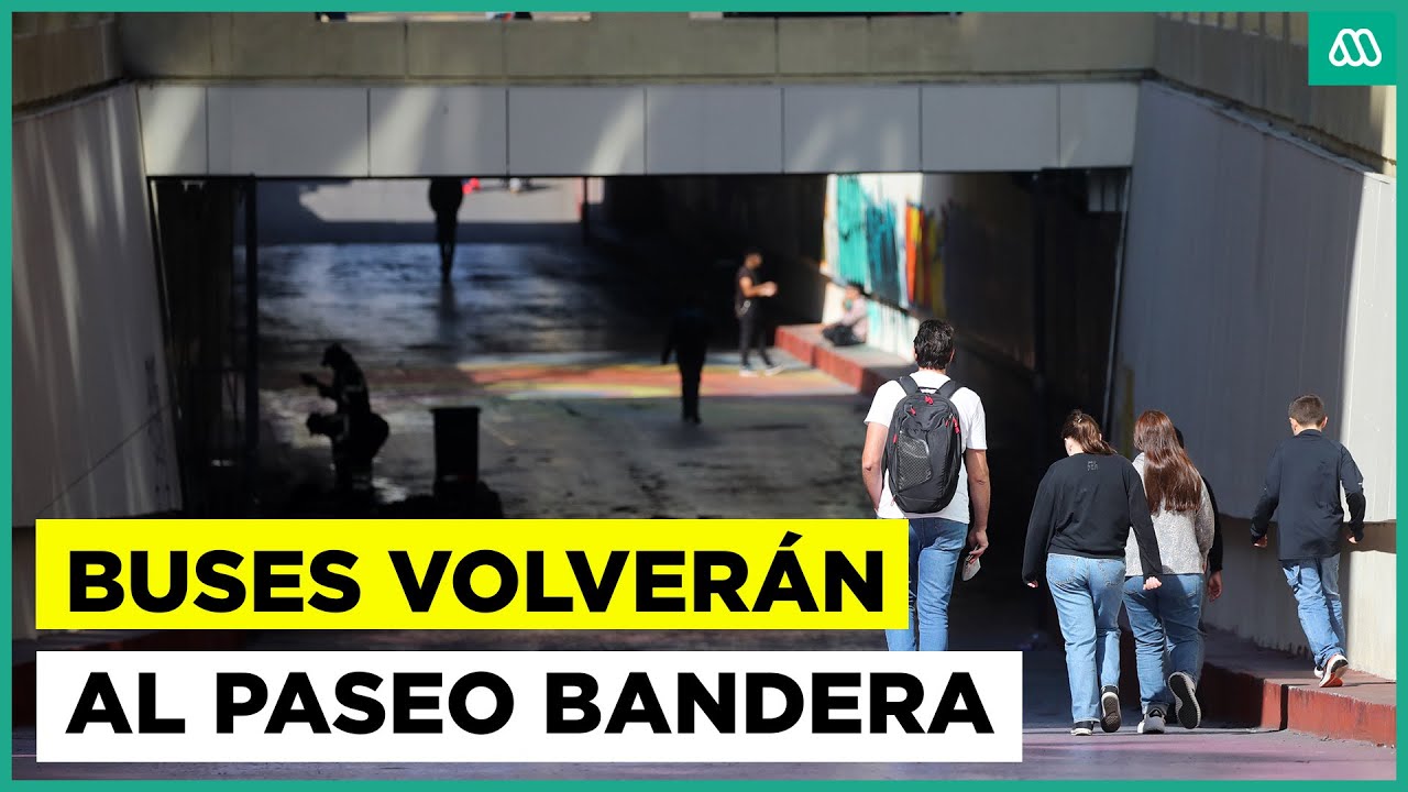 Vuelven los buses de transporte al Paseo Bandera