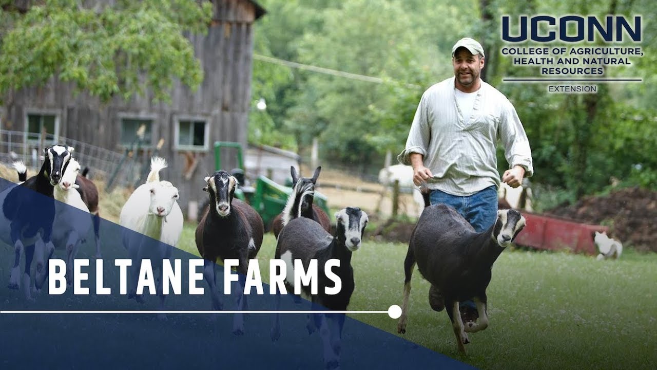 Beltane Farm