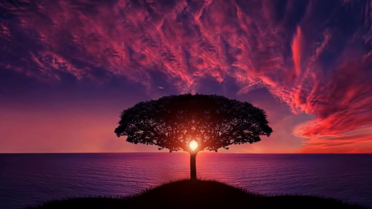 PAZ - A NOITE DESCE ...    - ALZIRO ZARUR