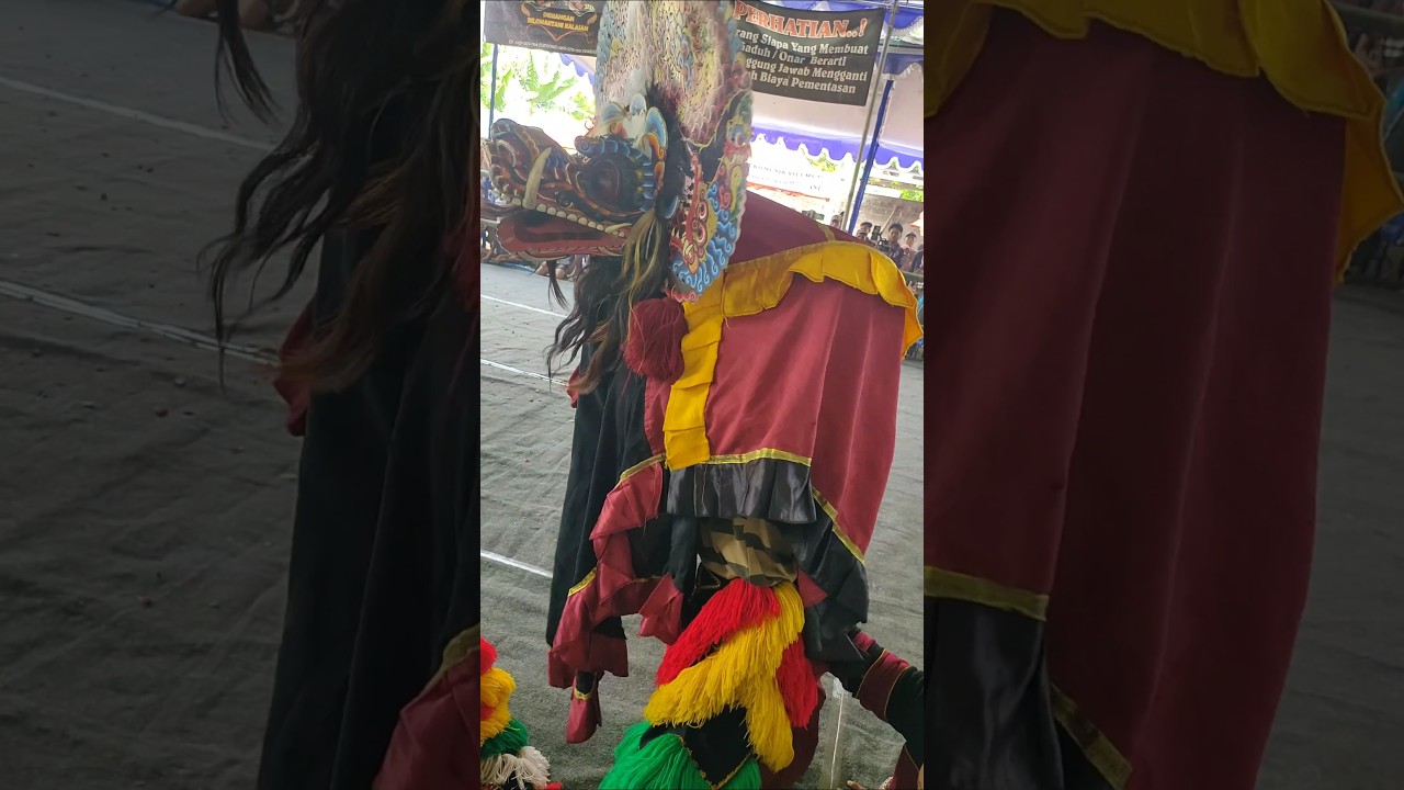 RAMPAK BARONG‼️#kesurupan #kudalumping #jarankepang #ebeg #janturan #barongan #reog #ndadi