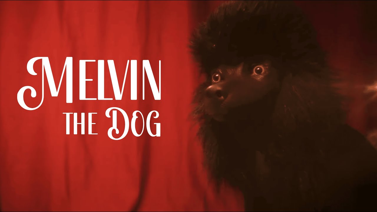 Melvin The Dog