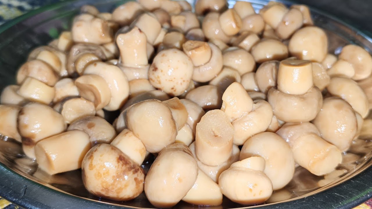 Mushroom Recipe | Mushroom ki Sabji | मशरूम बनाने का नया तरीका 🍄🍄🍄
