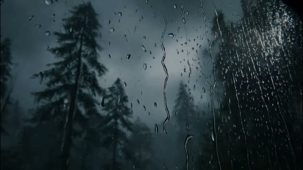 💤 Fast Rain on Window 🌧️ Foggy Forest | Insomnia Relief | ASMR Rain Sounds for Sleep & Relax