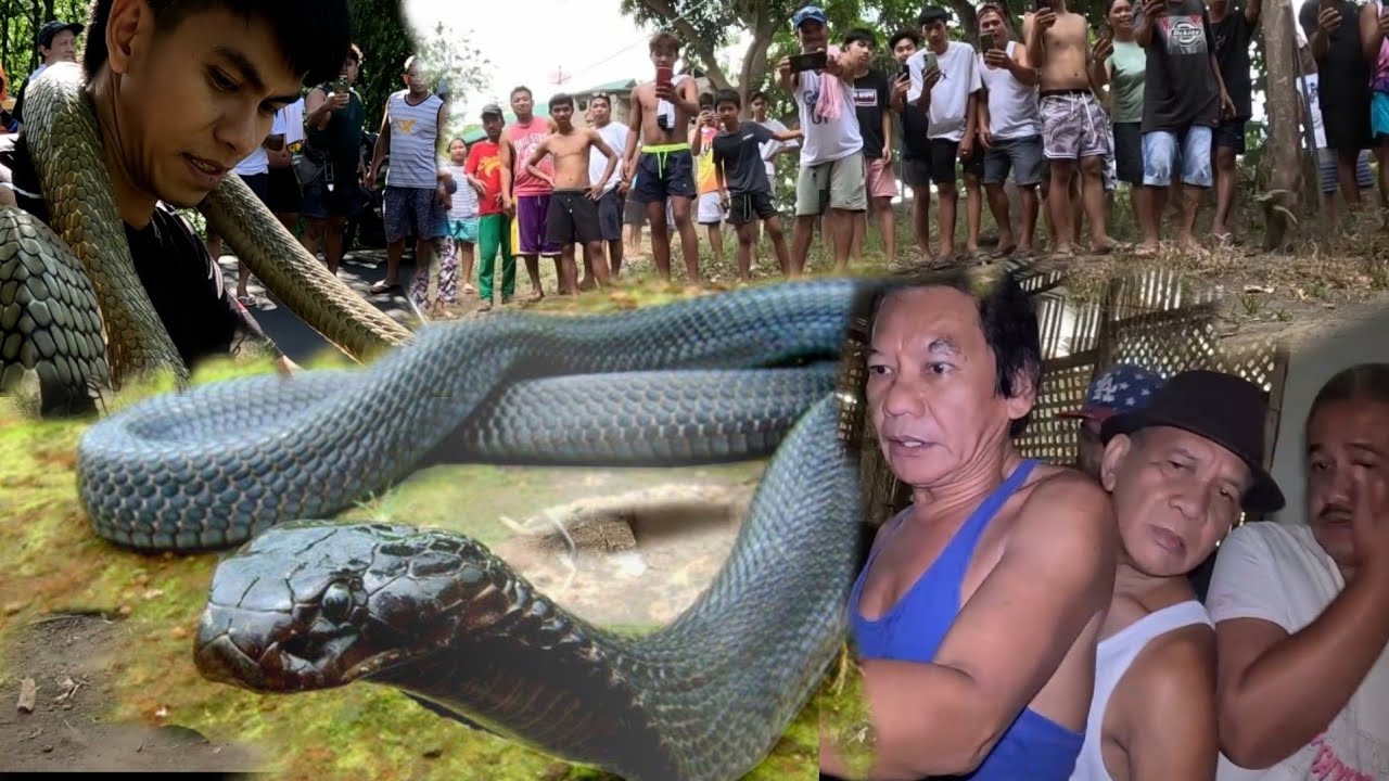 JUMBO BLOCK COBRA NILUNGGAAN ANG KWARTO