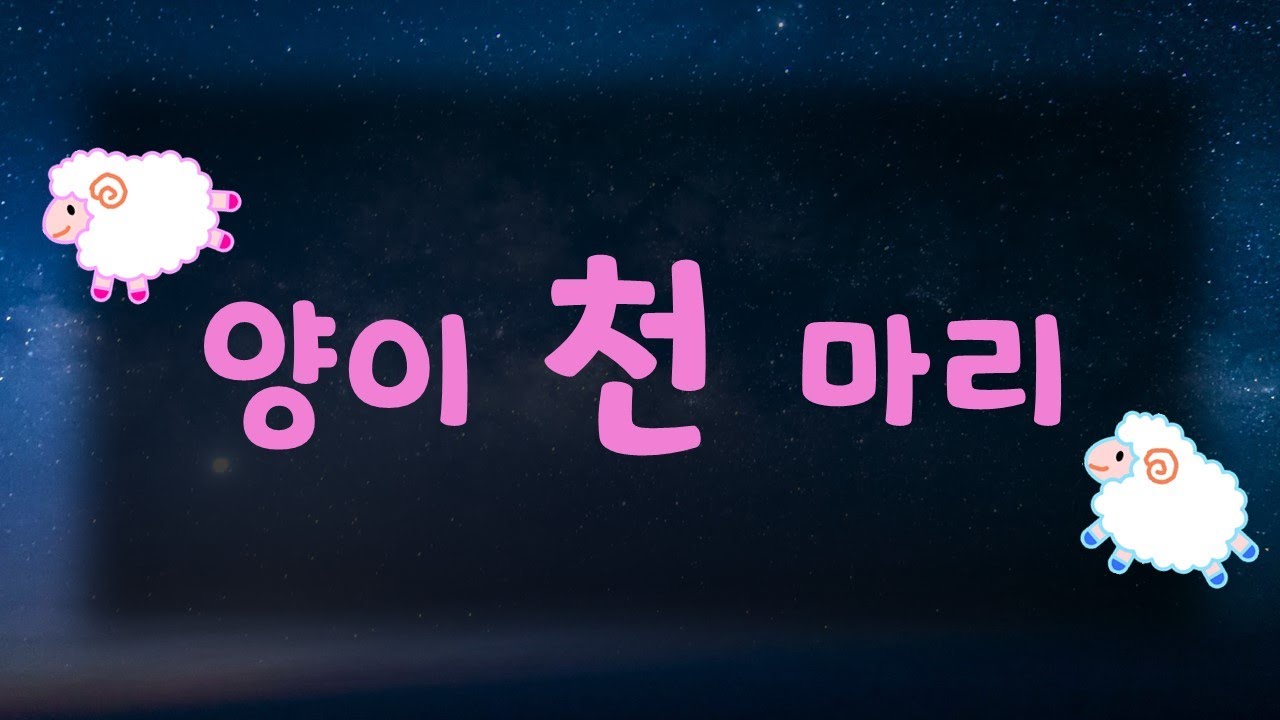 양천마리 양이천마리 양세기 양이한마리 보나랑코잠