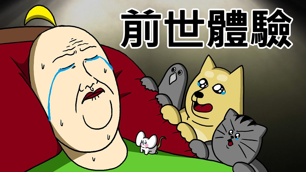 [禽獸朋友們] 前世體驗