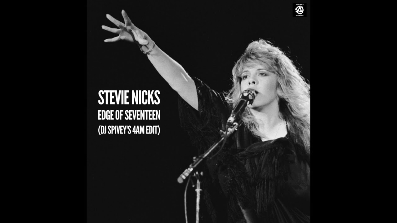 Stevie Nicks 