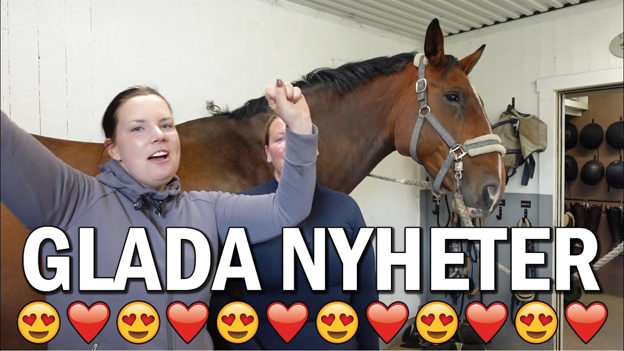 VI ÄR TILLBAKA med OTROLIGA nyheter - Stallvlogg