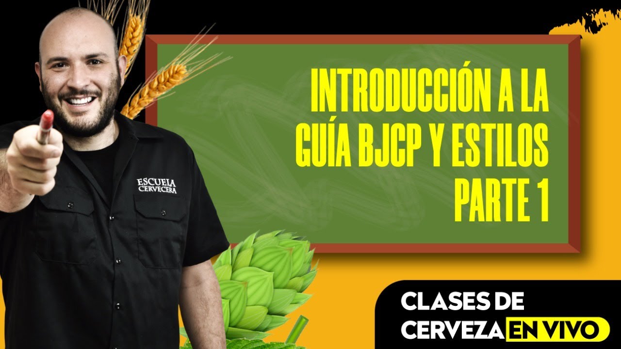 Introducción a la guía BJCP y estilos: Parte 1