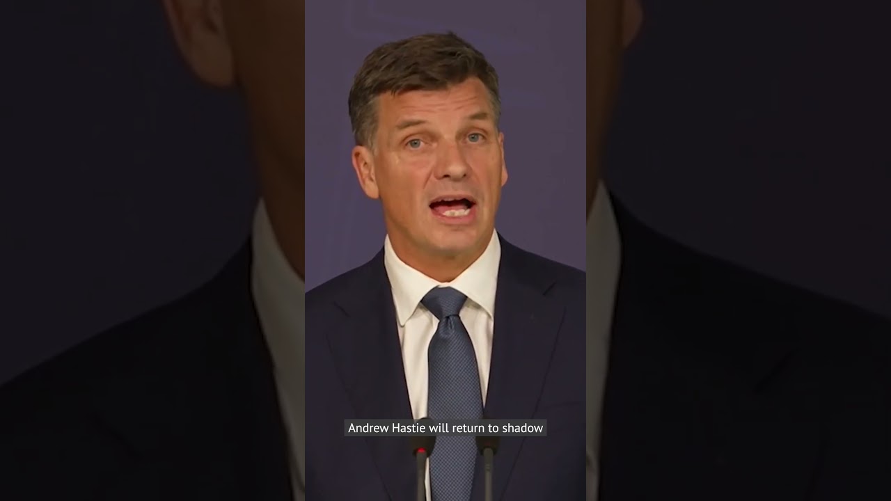 Liberal leader Angus Taylor has announced his shadow cabinet shakeup, with Jane Hume as deputy.