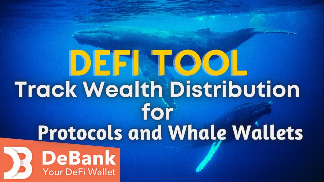 DeFi Tool - Track Wealth Distribution for Protocols and Whale Wallets