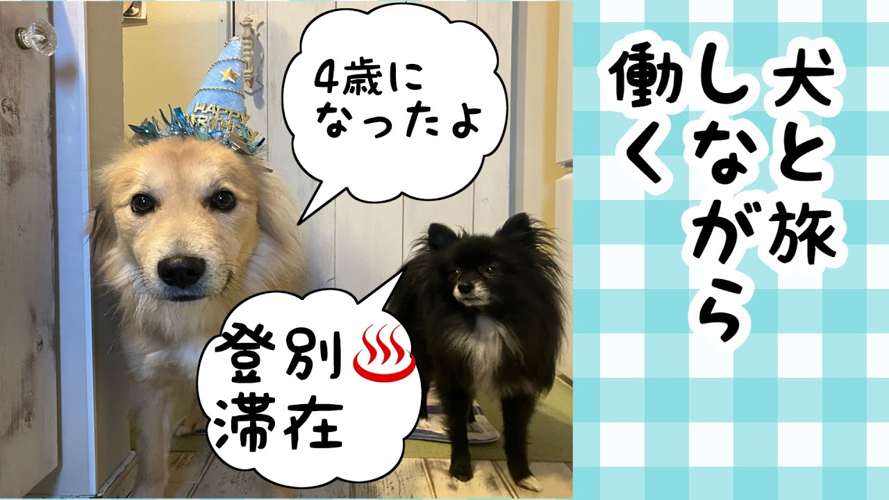 【犬と旅しながら働く】半月、登別生活〜ホテルの客室清掃バイト🧹温泉入浴の大特典付き💛