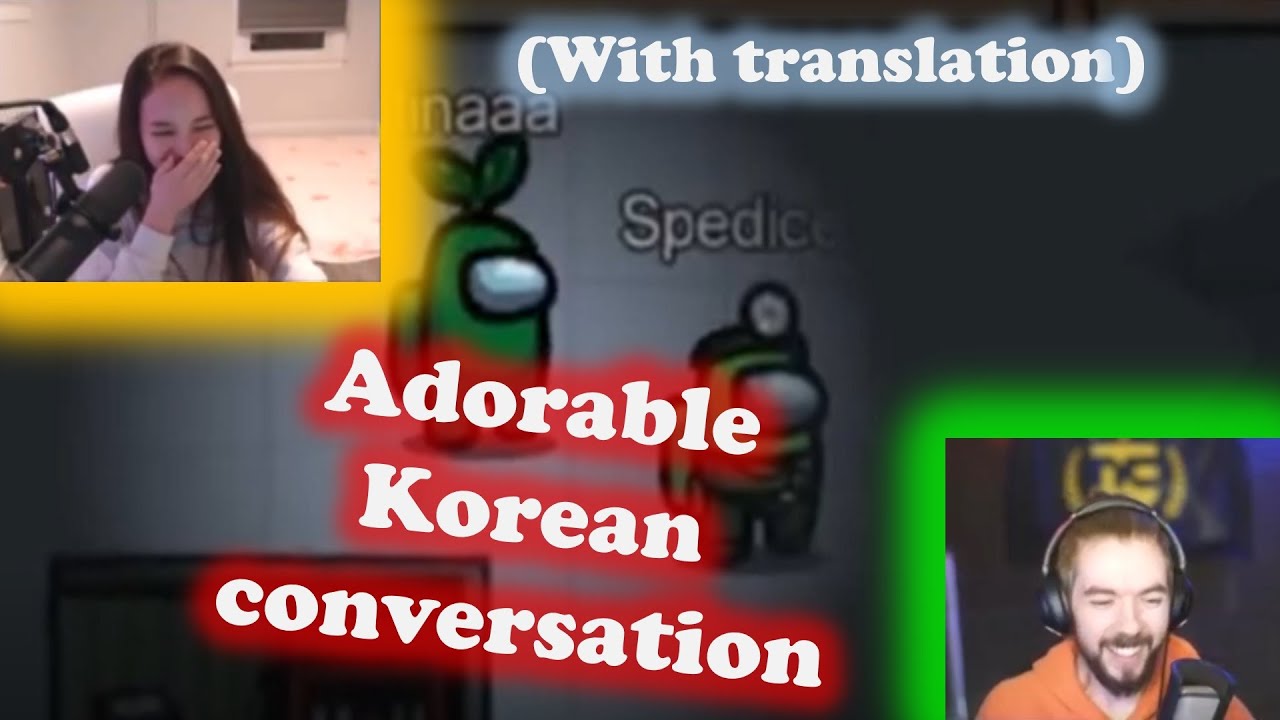 jacksepticeye and TinaKitten cute conversation in Korean(with translation) | 