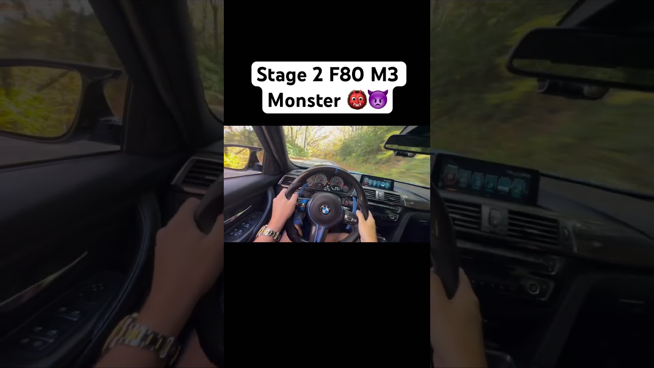Stage 2 F80 M3 Monster #bmw #bmwm3 #m3 #f80 #f80m3 #cars #carshorts #shorts #driving #pov #supercar
