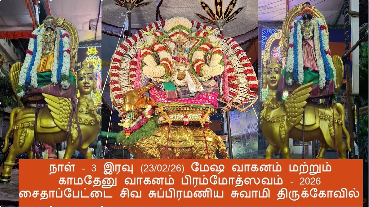 நாள் - 3 இரவு (23/02/26) மேஷ வாகனம் மற்றும் காமதேனு வாகனம்  /   சிவ சுப்பிரமணிய சுவாமி திருக்கோவில்