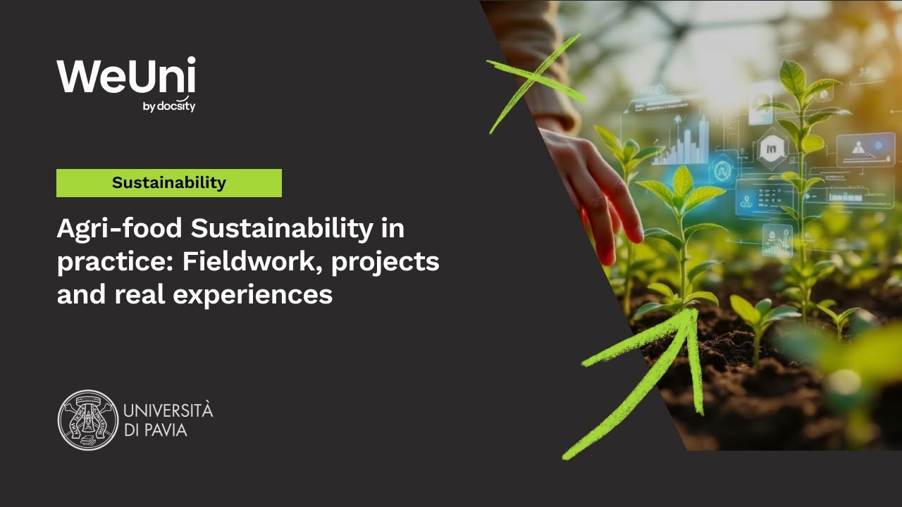 Agri-food Sustainability in practice: Fieldwork, projects and real experiences
